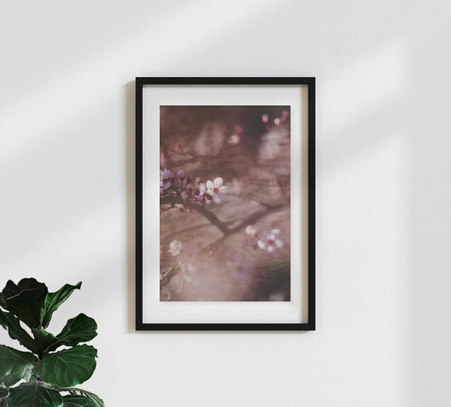 Kirschblüten in der Frühlingssonne, Deutschland – Fotokunst von Nadja Jacke als Poster oder Acrylglasbild