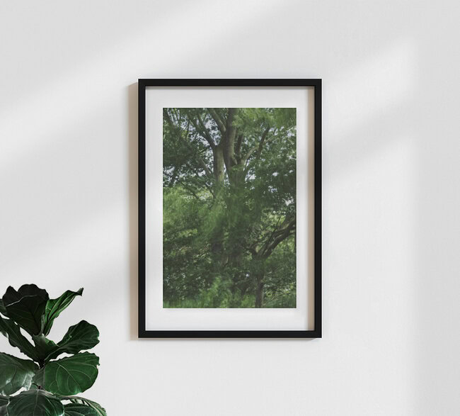 Buche vom Wind umweht, Deutschland – Fotokunst von Nadja Jacke als Poster oder Acrylglasbild