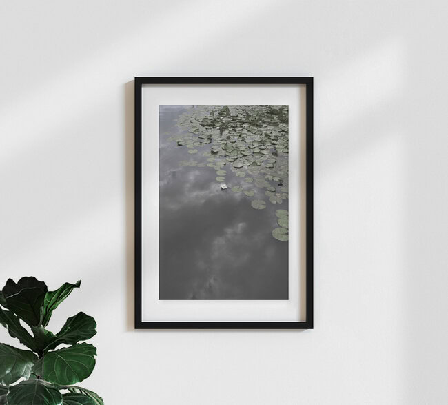 Water Lily Heaven, Germany – wall art by Studio Na.hili as Poster or Acrylic Glass Print