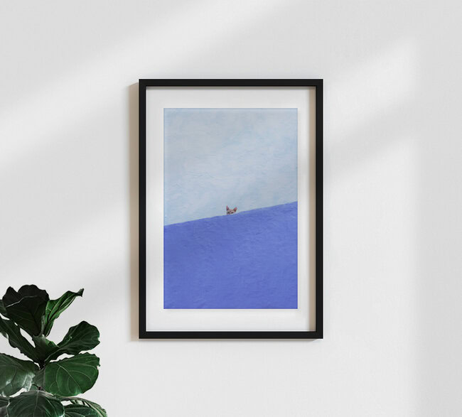 Spy Cat, Marokko – Fotokunst von Rupert Höller als Poster oder Acrylglasbild