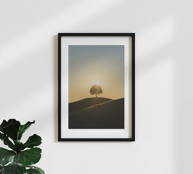 Lindenbaum, Schweiz – Fotokunst von Thomas Staubli als Poster oder Acrylglasbild