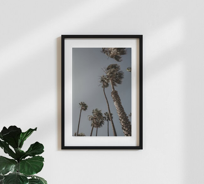 PALMEN, STRAND UND MEHR, Vereinigte Staaten – Fotokunst von Jasmin Hertrich als Poster oder Acrylglasbild