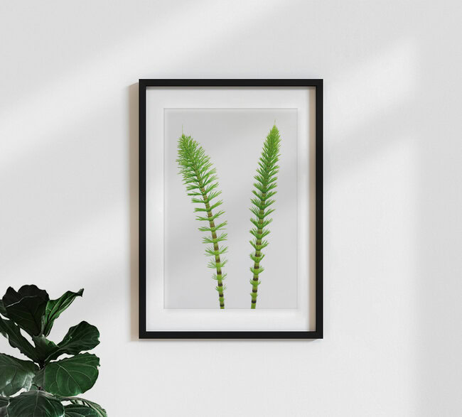 Green Hope, Deutschland – Fotokunst von Torsten Kupke als Poster oder Acrylglasbild