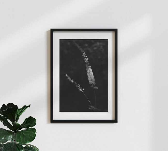 Silberstreif, Deutschland – Fotokunst von Torsten Kupke als Poster oder Acrylglasbild