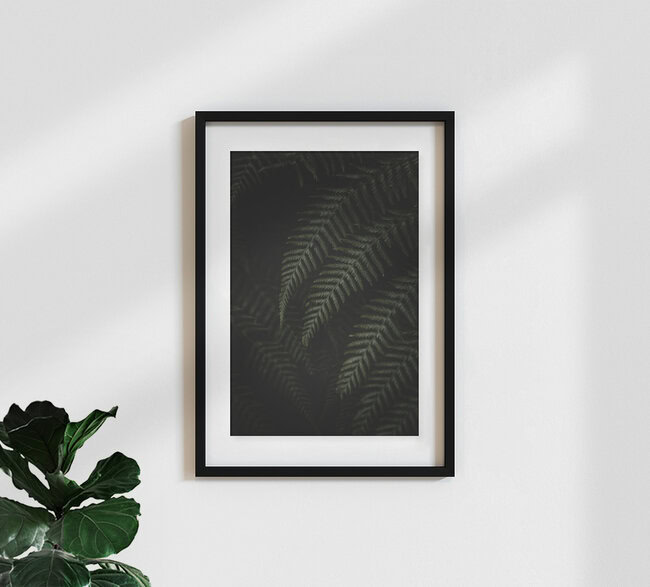 Farn im Dunkeln, Portugal – Fotokunst von Laura Zimmermann als Poster oder Acrylglasbild