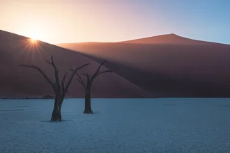 Namibia Deadvlei Sunrise, Namibia – Fotokunst von Jean Claude Castor als Poster oder Acrylglasbild