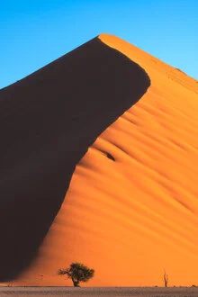 Namibia Dune 45, Namibia – Fotokunst von Jean Claude Castor als Poster oder Acrylglasbild