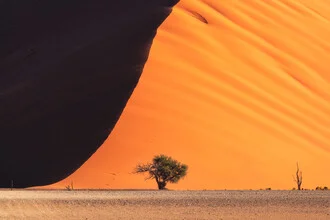 Namibia Dune 45 Closeup, Namibia – Fotokunst von Jean Claude Castor als Poster oder Acrylglasbild