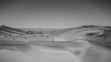 Soul of the Desert - Namib Desert 1 - Fineart photography by Dennis Wehrmann