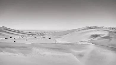 Soul of the Desert - Namib Desert 2 - fotokunst von Dennis Wehrmann