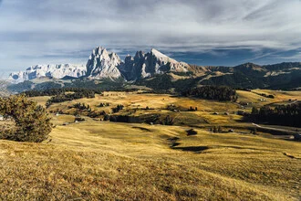 Autumn on the Alpe di Siusi - Fineart photography by Eva Stadler