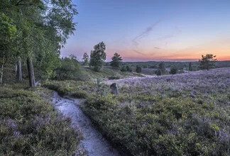 Lüneburg Heath - Fineart photography by Patrice Von Collani