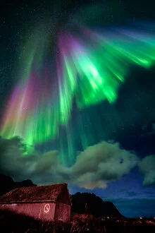 Polarlichter auf den Lofoten in Norwegen, Norwegen – Fotokunst von Achim Thomae als Poster oder Acrylglasbild