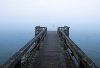 Steg an einem nebligen Wintermorgen, Deutschland – Fotokunst von Nils Steiner als Poster oder Acrylglasbild
