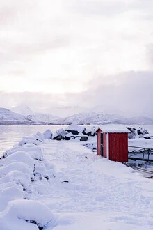 Wintery fjord and red cabin, Senja, Norway – wall art by Eva Stadler as Poster or Acrylic Glass Print