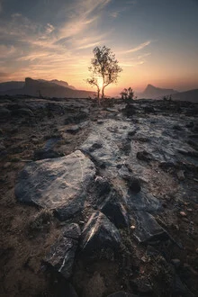 Oman Jebel Al Akhdar Canyon, Oman – wall art by Jean Claude Castor as Poster or Acrylic Glass Print