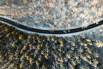 Two forests divided by a street - Fineart photography by Lina Jakobi