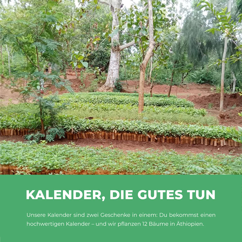 Dancing through the Year 2026 Klappkalender & Planer