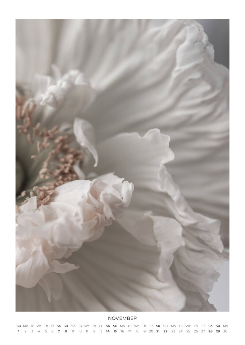 Blumen Kalender 2026 - In Bloom von Mareike Böhmer