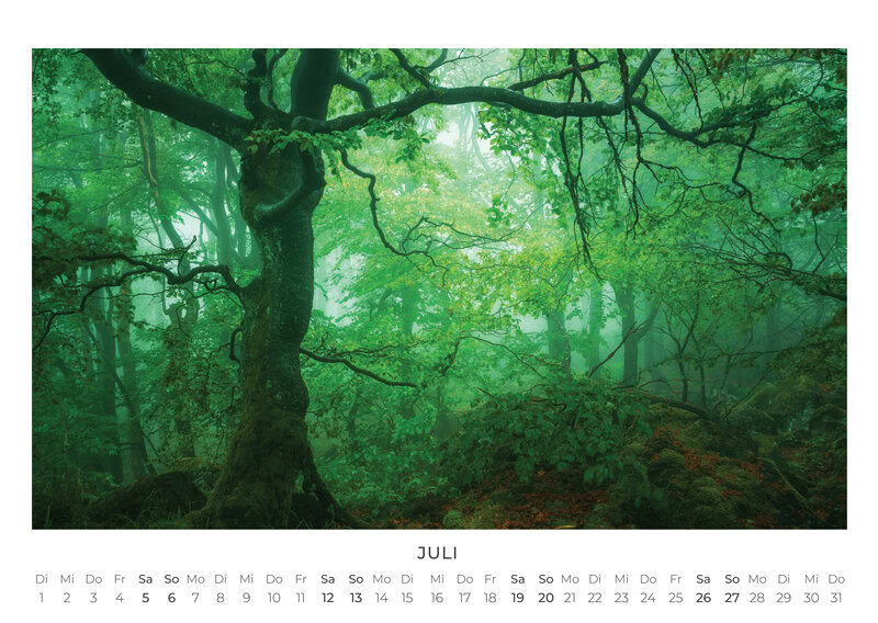 2026 Forest and Trees Calendar