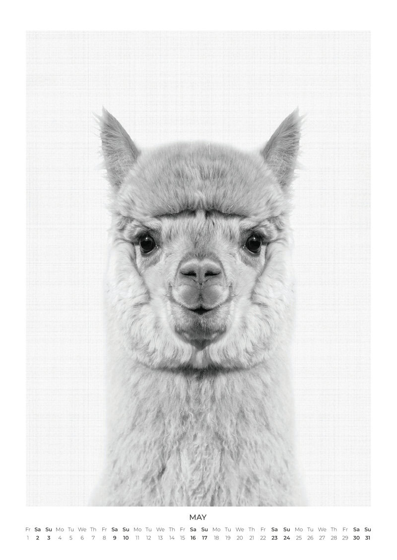 Tierportraits Kalender 2026