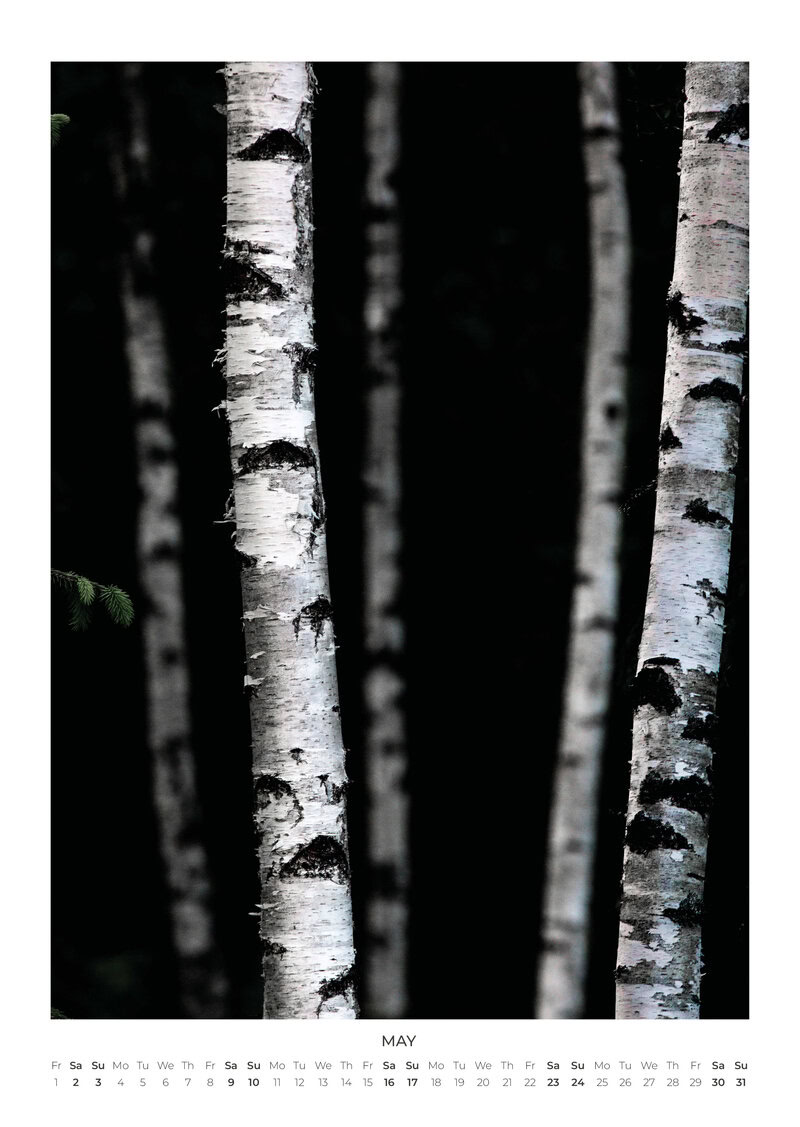 2026 Moments in Nature Calendar