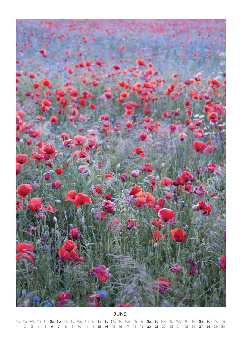 2026 Simple Serenity Calendar