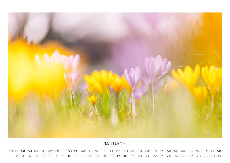 2026 Wildflower Dreams Calendar