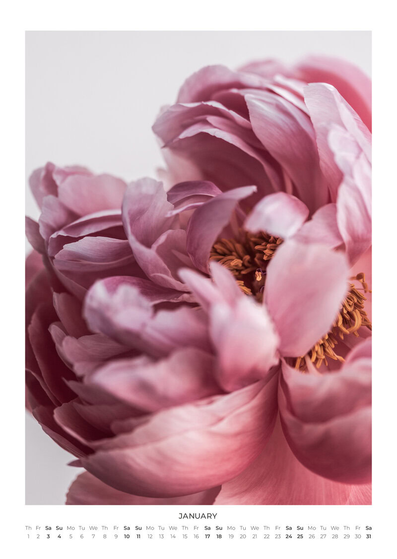 Blumen Kalender 2026 - In Bloom von Mareike Böhmer