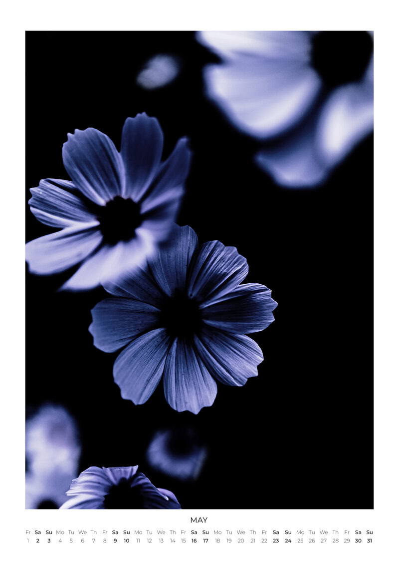 Blumen Kalender 2026 - In Bloom von Mareike Böhmer