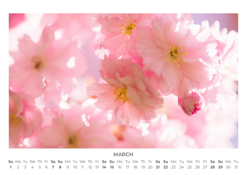2026 Wildflower Dreams Calendar