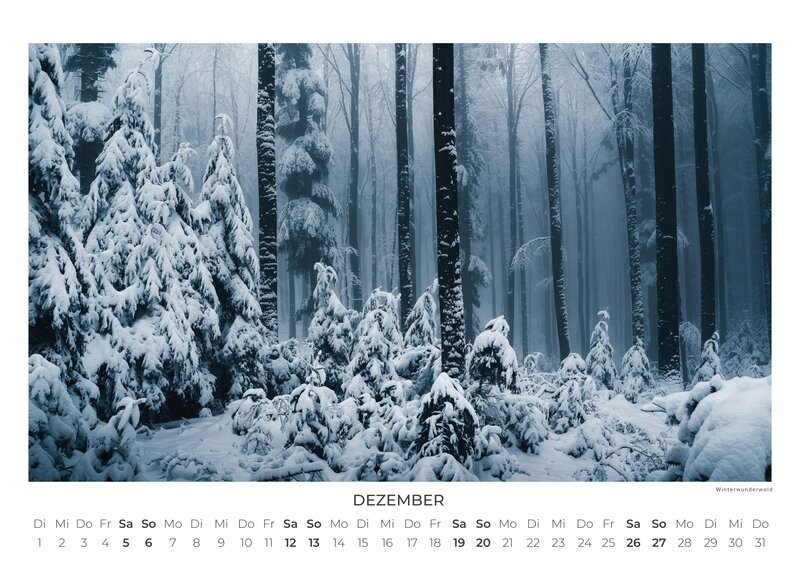 Deutschlands Wilde Wälder Calendar 2026