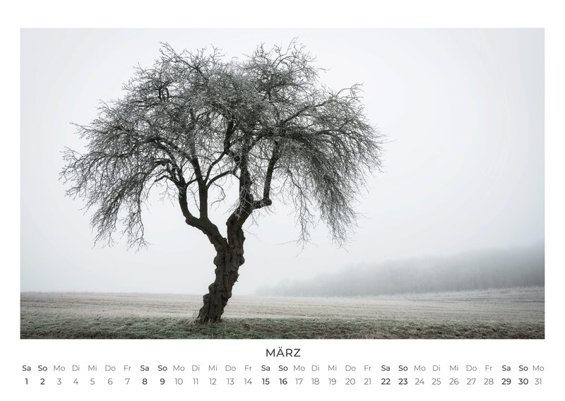 2026 Forest and Trees Calendar
