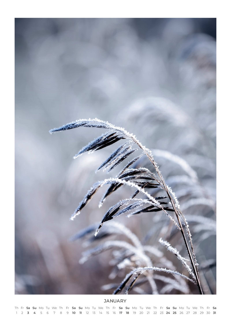 2026 Moments in Nature Calendar