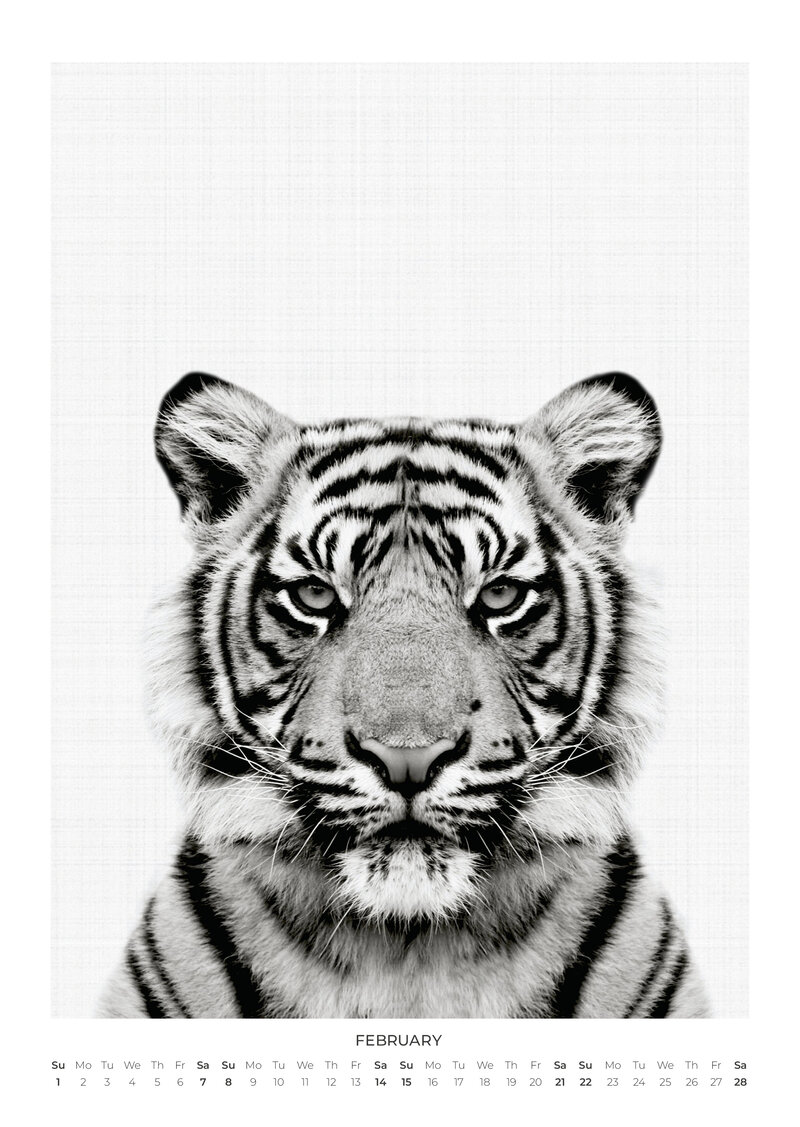 Tierportraits Kalender 2026