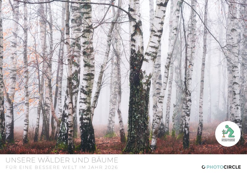 2026 Forest and Trees Calendar