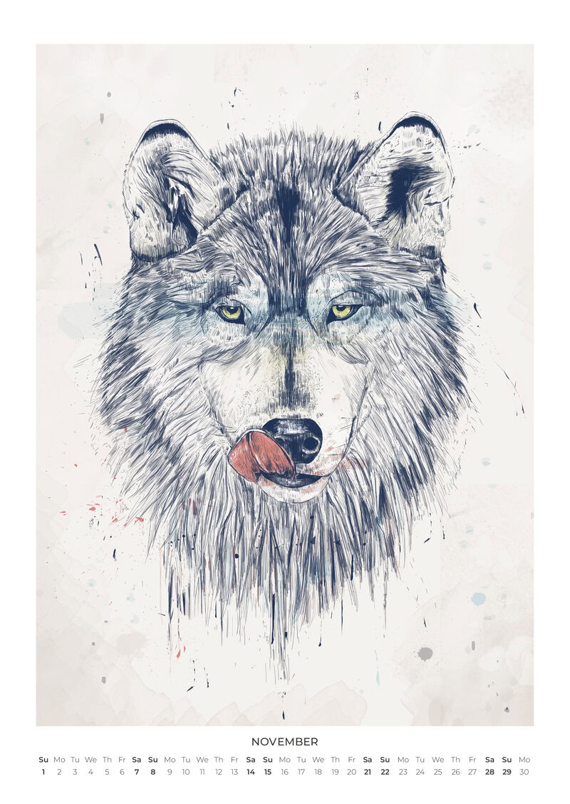 2026 Wild Whimsy Calendar