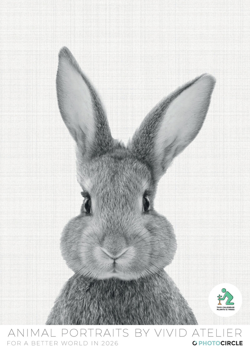Tierportraits Kalender 2026
