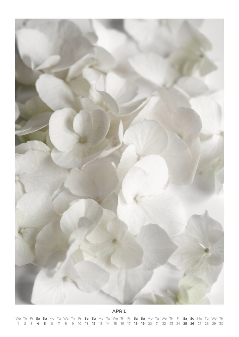 2026 Simple Serenity Calendar