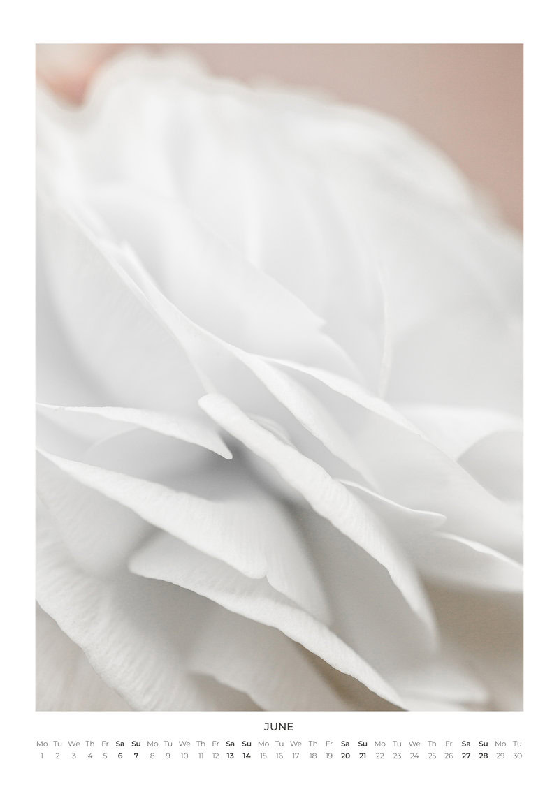 Blumen Kalender 2026 - In Bloom von Mareike Böhmer
