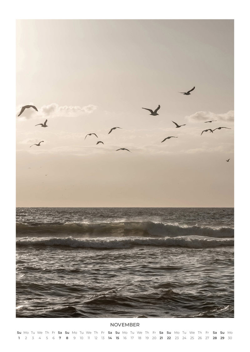2026 Moments in Nature Calendar