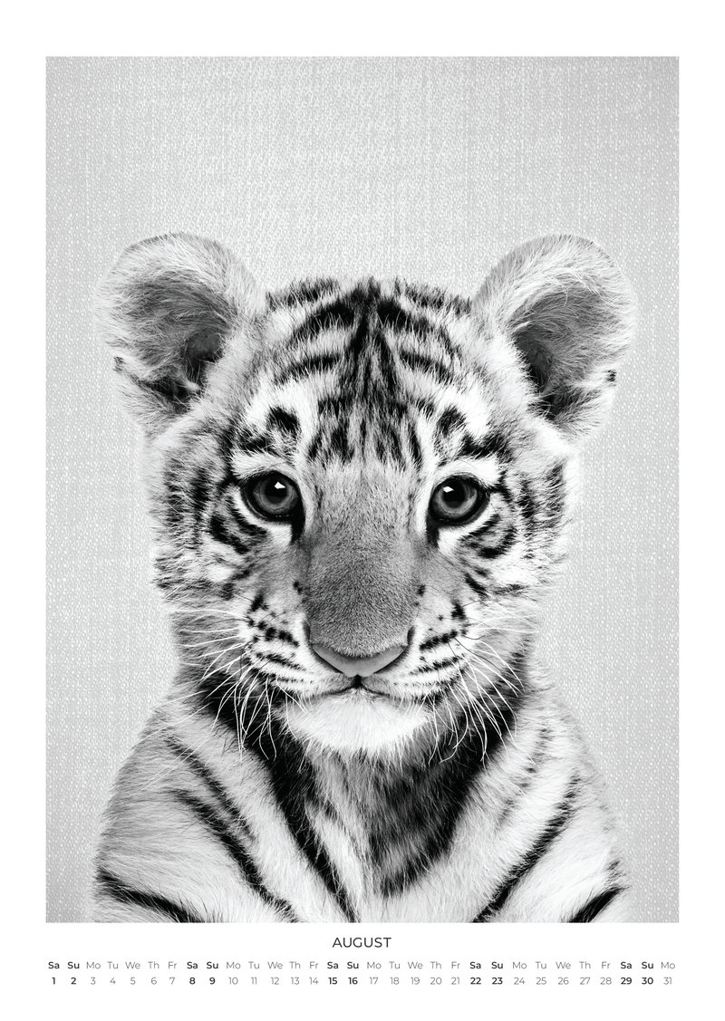 Baby Animal Portraits Kalender 2026