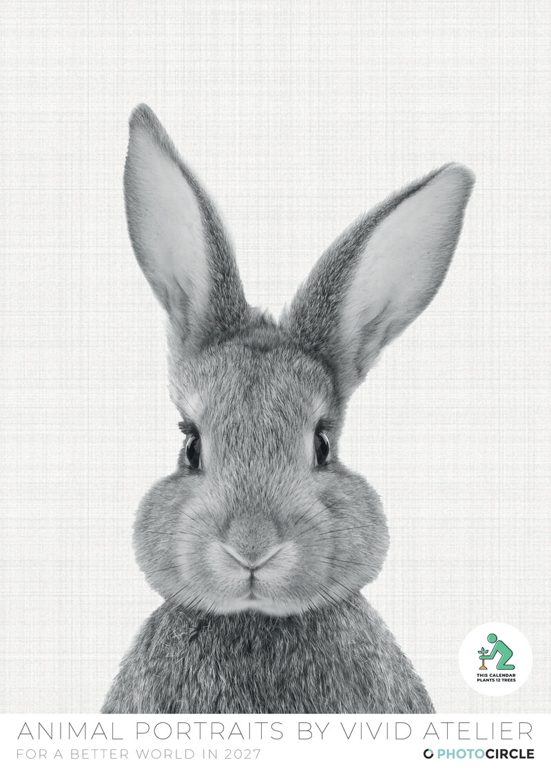 Animal Portraits 2027 Wall Calendar