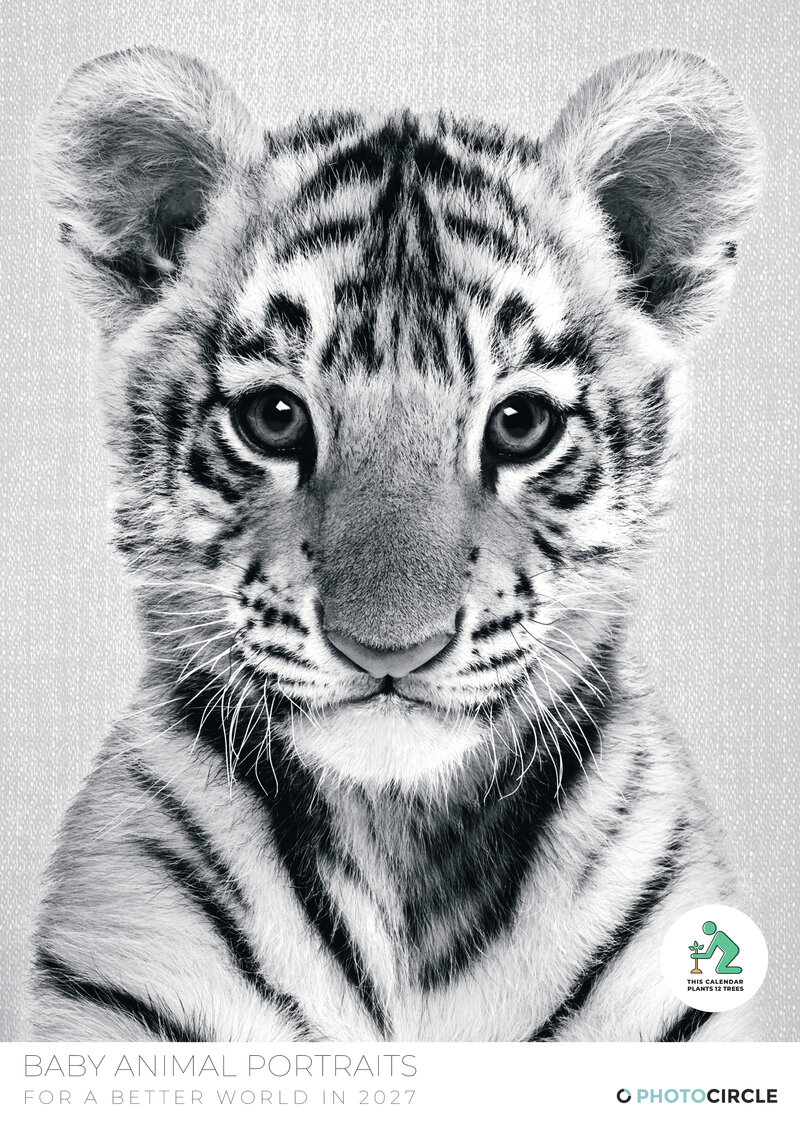 Baby Animal Portraits 2027 Wall Calendar