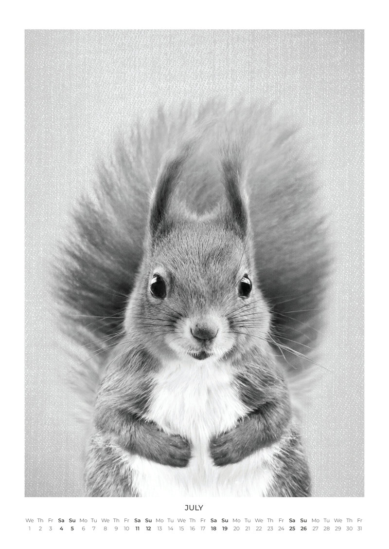 Baby Animal Portraits Kalender 2026