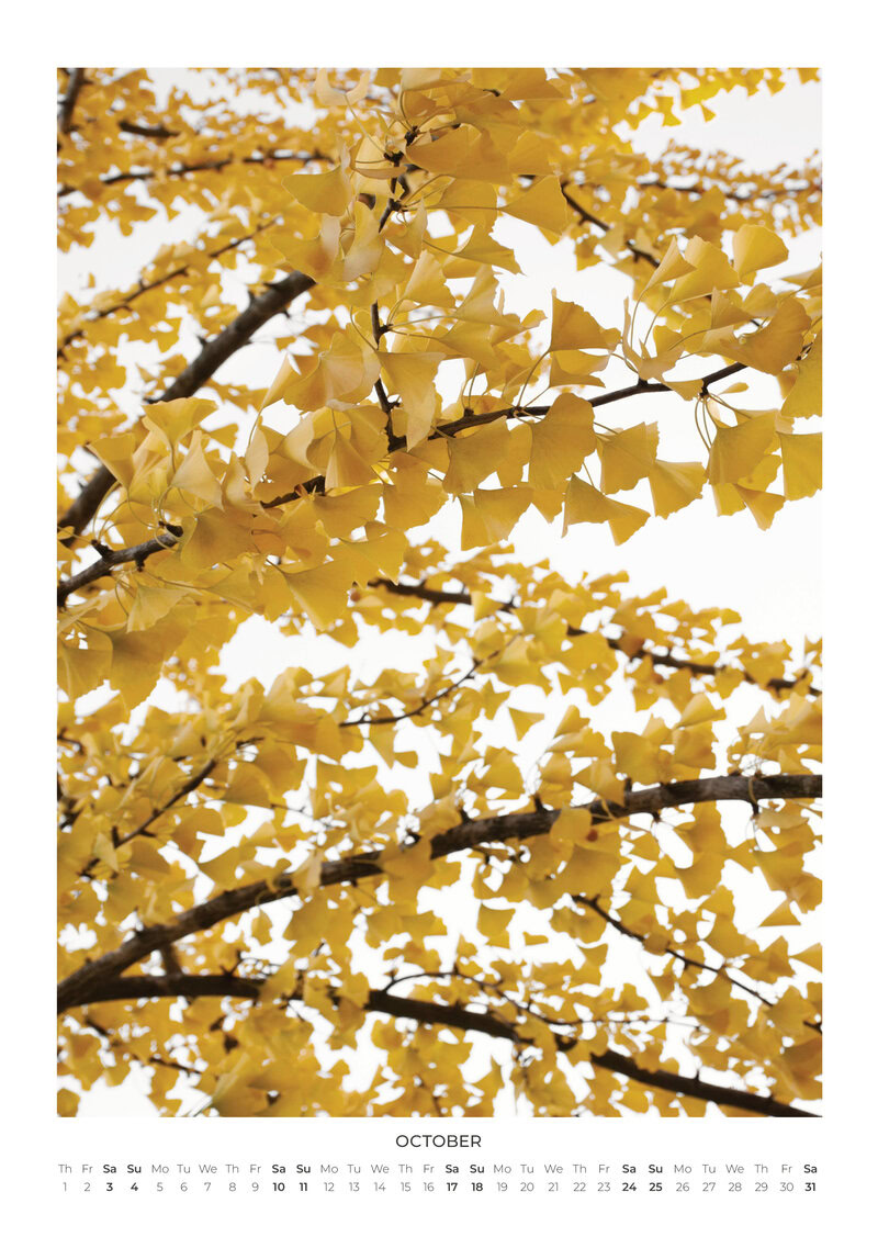 2026 Simple Serenity Calendar