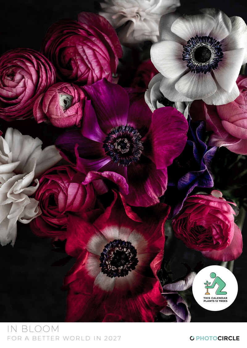 Blumenkalender 2027 – „In Bloom“ Kunstkalender von Mareike Böhmer