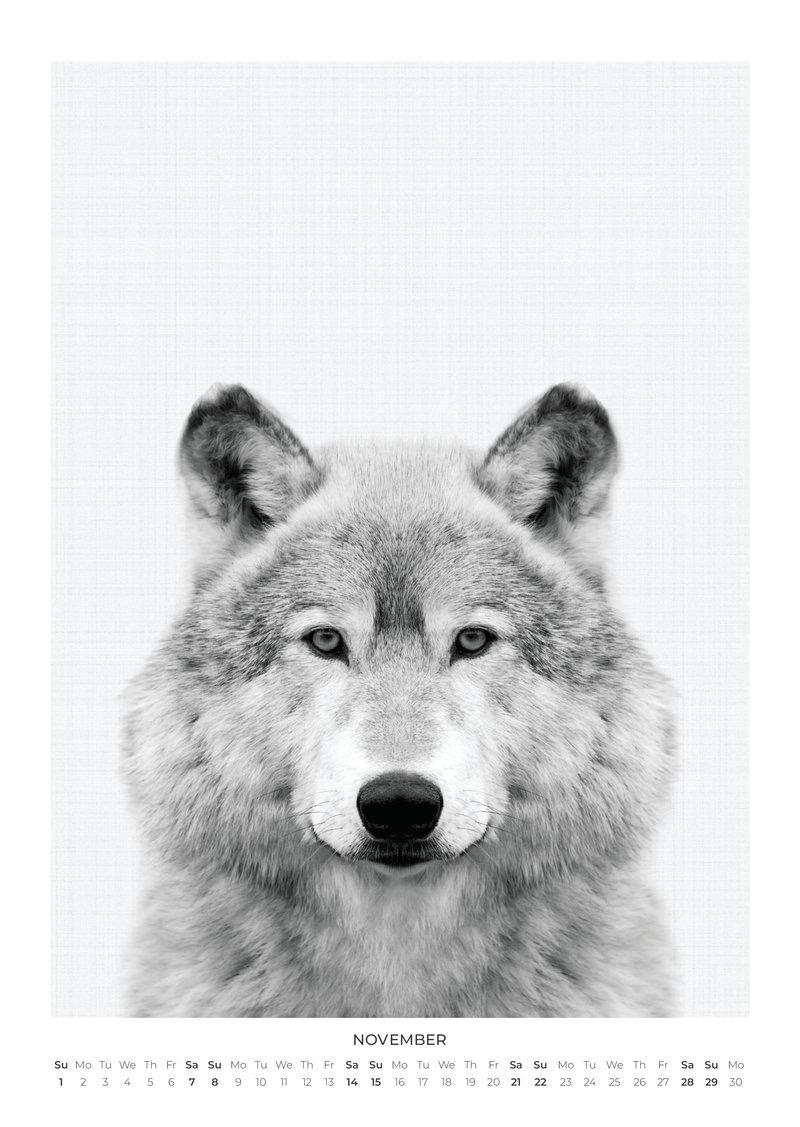 Tierportraits Kalender 2026