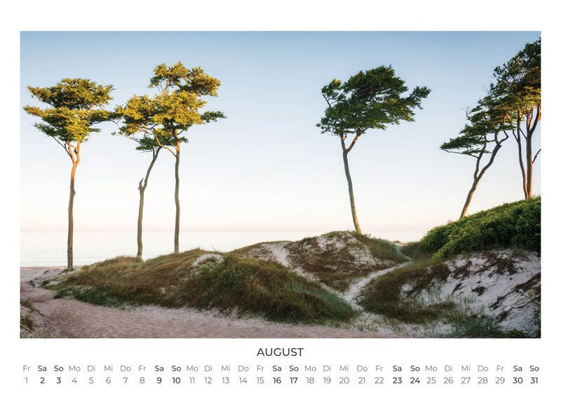 2026 Forest and Trees Calendar