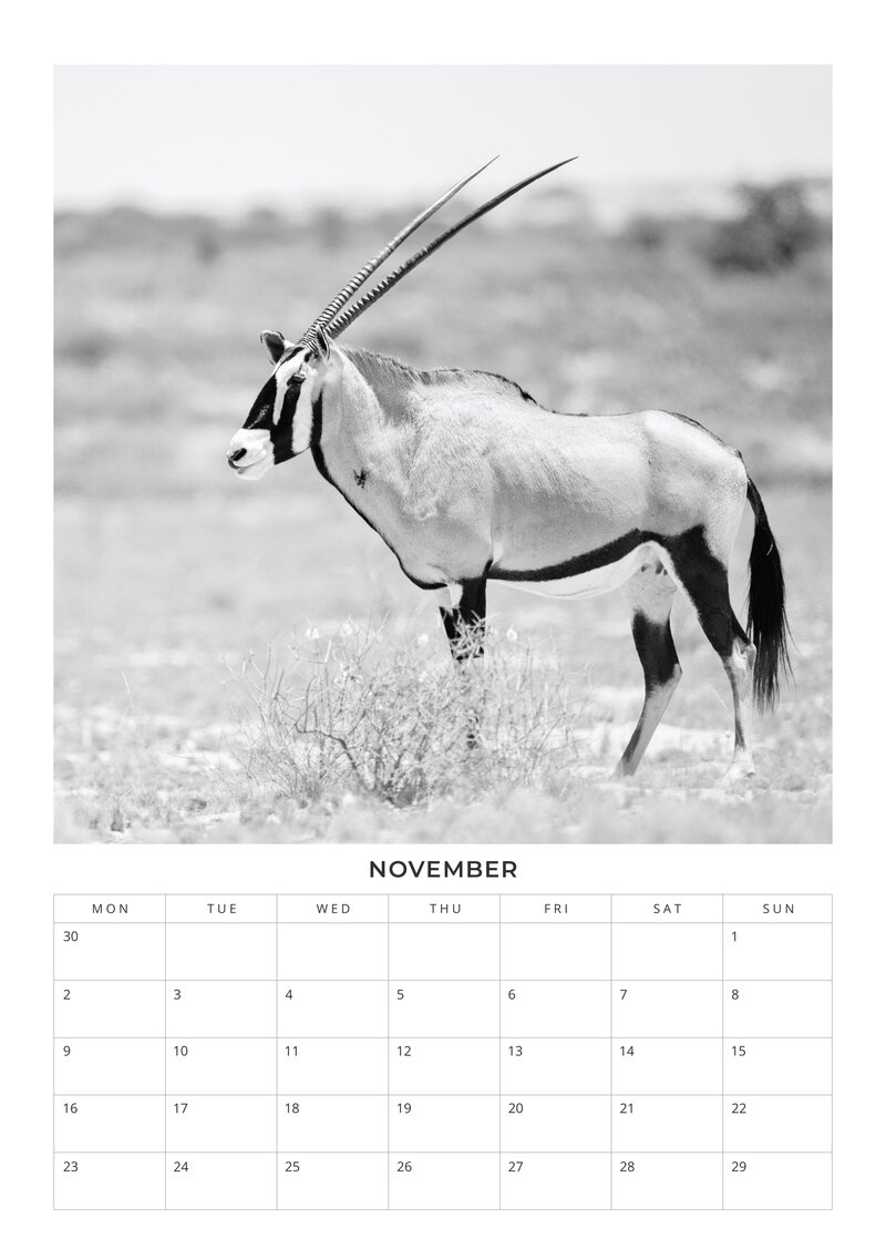 2026 African Wildlife Calendar